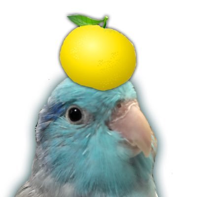 たみのすけの乱's profile picture