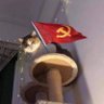 Roter Markus ☭🇵🇸🇨🇺🇻🇪🇪🇦 profil fotoğrafı
