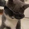 Profilbild von 𝙦𝙬𝙧𝙩𝙯