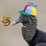 Фото профиля Sr. Chulo🦅🧢🍭🪶