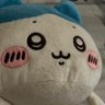 Profilbild von Martin