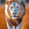 Profilbild von Nabil ben elmostapha