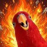 Profilbild von APi Onus