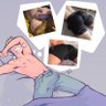 Josefumi's profile picture