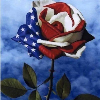 Tygrepath's profile picture