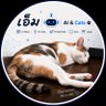 เอ็ม 🤖 | AI & Cats 的头像