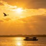 suncb profil fotoğrafı
