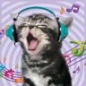 Daniboy's profile picture