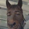 Profilbild von vegger