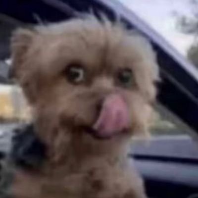 LakerzLarry's profile picture