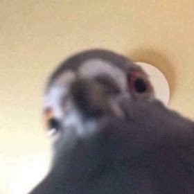 deb ˙ᵕ˙ 𖥔 ݁ ˖'s profile picture