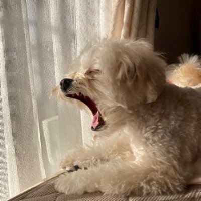 nagokyudragox's profile picture