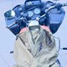 Nomad_RN's profile picture