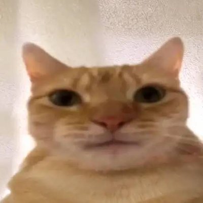 Noir's profile picture