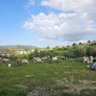 Tagar profil fotoğrafı