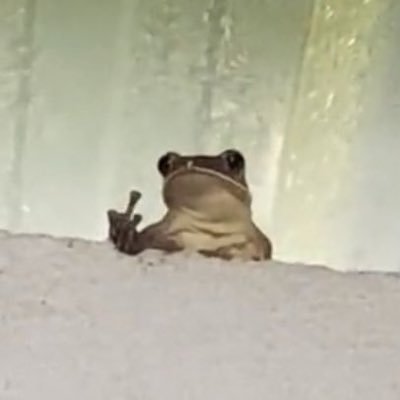 Nanasminds's profile picture