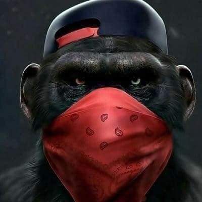Marzbach_1911's profile picture