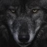 abookr's profile picture