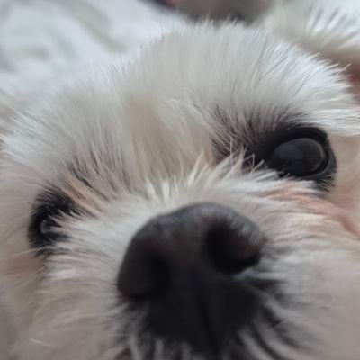 myoldplaylist's profile picture