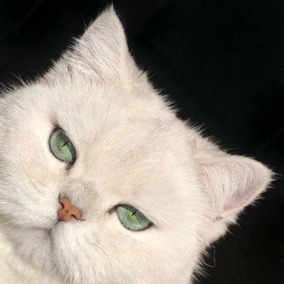 小小绘's profile picture