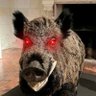 Profilbild von Aper Noster 🐗 🇫🇷