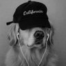 Ceezu profil fotoğrafı