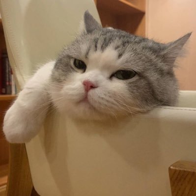 KKKKK_10K's profile picture