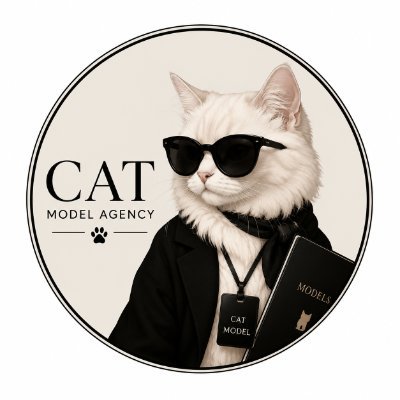 猫猫's profile picture