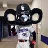 shu's profile picture