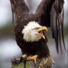 MJBluster profil fotoğrafı