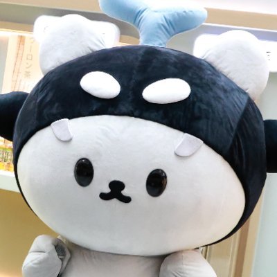 mySANdiary's profile picture