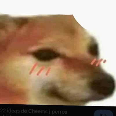 liusitapunk's profile picture