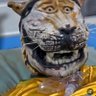 bielmaldadepura's profile picture