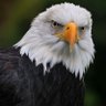 Profilbild von Zebellah¹⁹⁰³