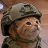 Катафракт's profile picture