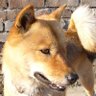 偽ボウズ profil fotoğrafı