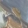 Doğa Baba's profile picture