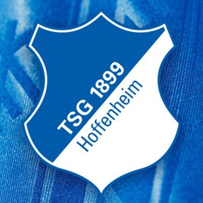 tsghoffenheim's profile picture