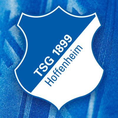 TSG Hoffenheim US's profile picture