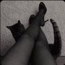 maha's profile picture