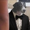 Vokehdt B's profile picture