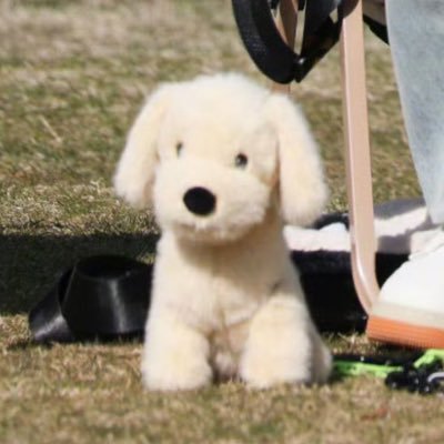 이개's profile picture