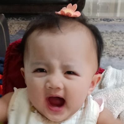 MalayGuy #BersatulahMelayu's profile picture