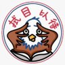 Touzhele's profile picture
