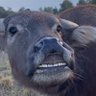 Enter's profile picture