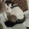 gem's profile picture
