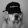 Profilbild von Seyi4real