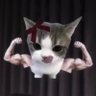 Profilbild von Nolate_