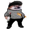 CaracalMarc 的头像