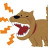 Profilbild von はるか